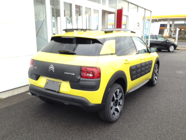 C4 CACTUS ご成約ありがとうございました。
