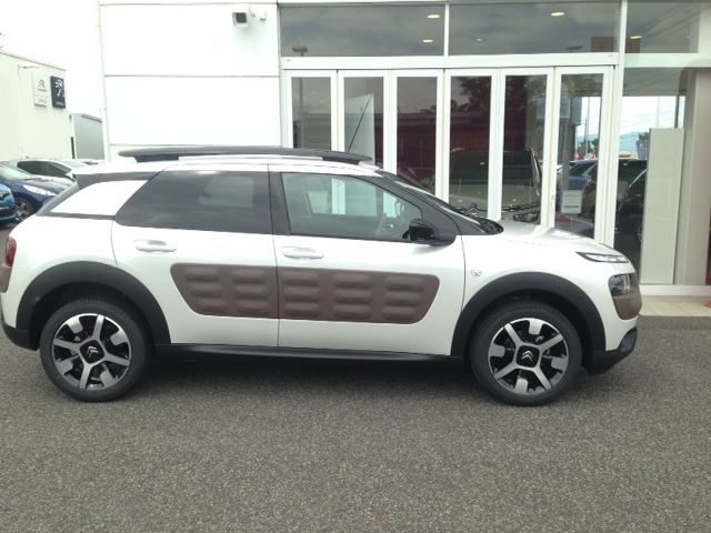 C4 CACTUS その②