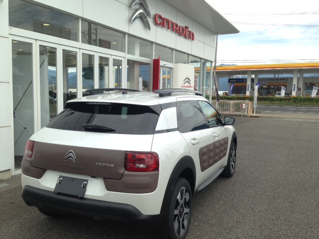 C4 CACTUS その②