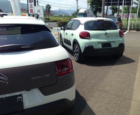 New C3 Debut Edition到着しました！